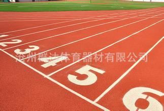 塑膠場地系列 廠家供應塑膠跑道  混合型塑膠跑道 足球場塑膠跑道