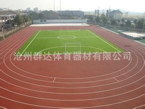塑膠場地系列 廠家供應(yīng)優(yōu)質(zhì)跑道 混合型塑膠跑道 足球場塑膠跑道 學(xué)校塑膠跑道
