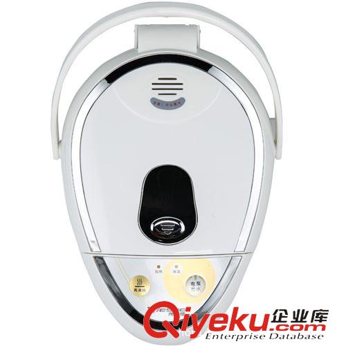 家用電器類 廠家直銷 一件代發 偉士德WSD-303保溫電熱水瓶不銹鋼開水煲5.5L原始圖片2
