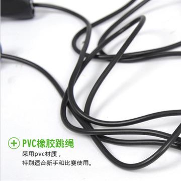 飛爾頓健身 飛爾頓健身專用gd軸承跳繩 體育用品廠家批發一件代發