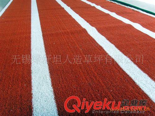 運動系列 供應彩虹跑道專用人造草坪--2014{zlx}！