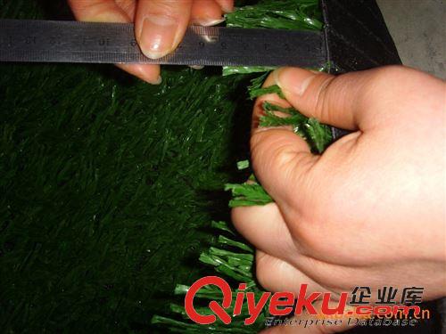 {zx1}產(chǎn)品 綠舒坦人造草坪、artificial grass