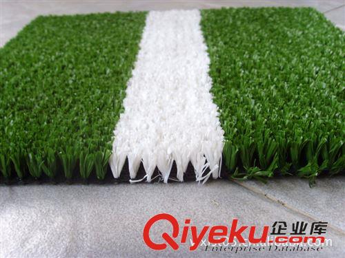運(yùn)動(dòng)草系列 學(xué)校操場(chǎng)專(zhuān)用  人造草坪 運(yùn)動(dòng)草坪 休閑草 環(huán)保原始圖片2