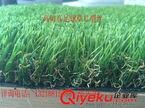 景觀草系列 景觀草　休閑草坪　屋頂　綠化專用　人造草坪　專業施工隊