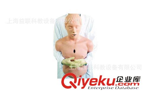 臨床醫學技能訓練模型 KAS/CPR184高級成人氣道梗塞及CPR模型 CPR模型 氣道梗塞