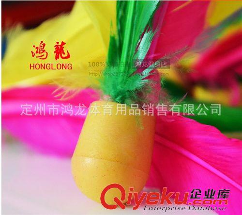 太極健身 三毛球  高彈性板羽球  多款顏色  板羽球拍