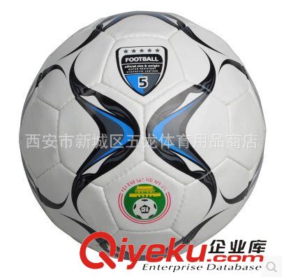 足球 正品 MOLTEN/摩騰 足球 FW-50 中國(guó)足協(xié)推薦用球  訓(xùn)練用球原始圖片2