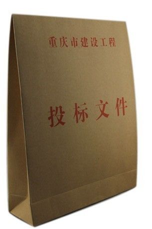 文件管理用品 投標(biāo)文件袋 牛皮紙檔案袋 資料袋 檔案盒