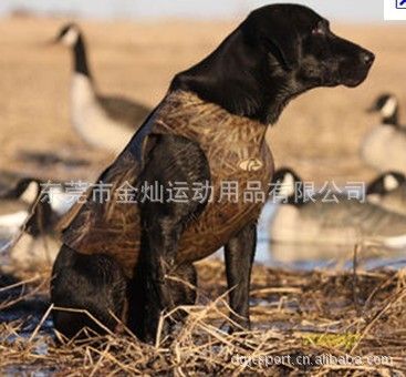 寵物用品系列 供應潛水料寵物用品 寵物服飾 服裝 款式新穎 材料gd耐用