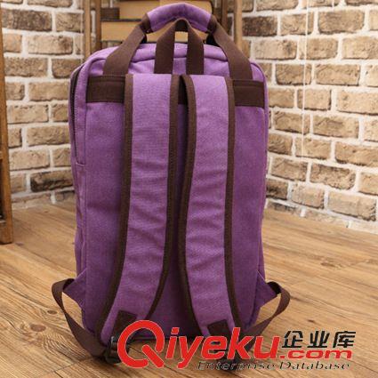 動漫包包 海賊王雙肩書包動漫主題外貿熱銷雙肩帆布包男女通用背囊休閑包袋原始圖片3