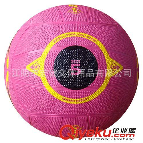 橡膠落網(wǎng)球 廠家直銷定制供應(yīng)落網(wǎng)球 NETBALL 直徑22cm