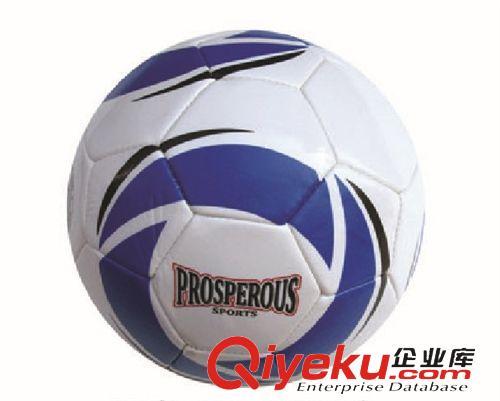 球類運動 正品5#高級TPU革足球 標準5號足球 學生訓練用品 meik037廠家批發