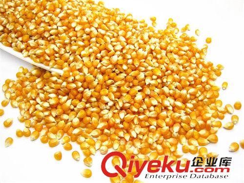 倉鼠糧配料 圣女果干5公斤裝/番茄干小西紅柿干倉鼠 兔兔 小寵零食/