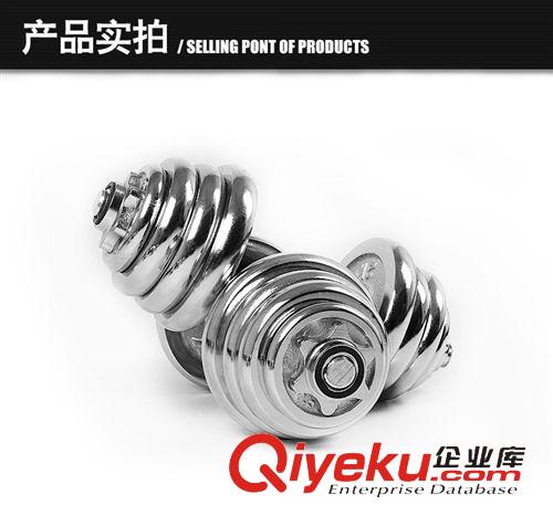 啞鈴系列 高品質 白字 電鍍啞鈴  電鍍包膠桿啞鈴原始圖片2