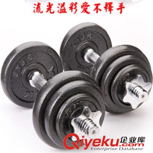 啞鈴系列 烤漆啞鈴 健身啞鈴 YORK 啞鈴 鑄鐵  廠家直銷  zp保證原始圖片2