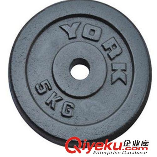 鈴片系列 啞鈴片 烤漆啞鈴片 YORK  廠家直銷 品質保證