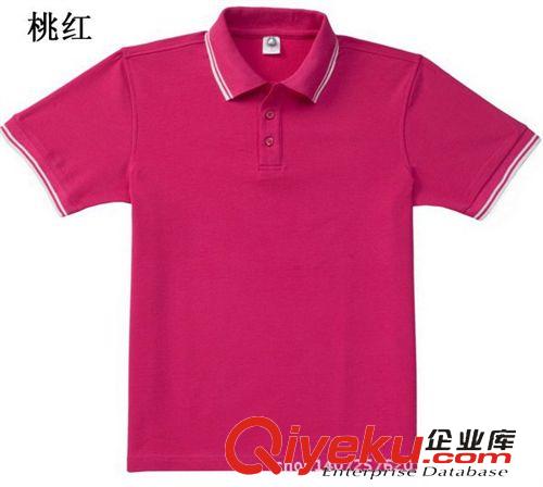 上衣 高品質(zhì)可個性定制logo  空白POLO衫 廣告 文化衫 200克