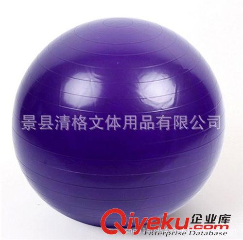 瑜伽球 瑜伽健身球 55CM  廠家直銷(xiāo)健身am球 多色，單件可混批