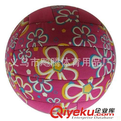 排球 廠家定做機(jī)縫排球原始圖片3
