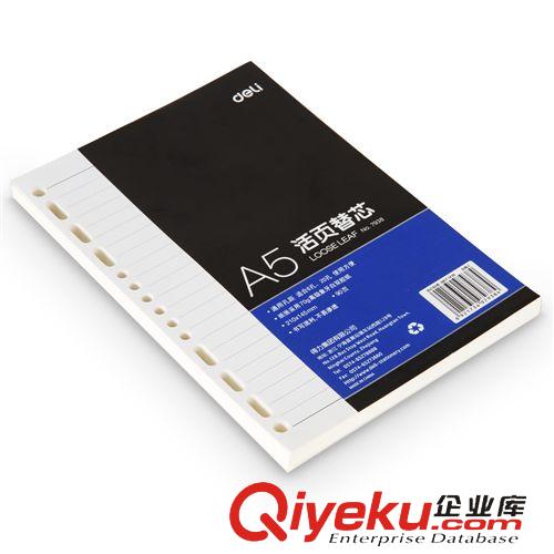 紙制品 得力7938 活頁(yè)A5替芯 活頁(yè)本替芯 活頁(yè)芯 210*145mm 適合6孔20孔原始圖片3