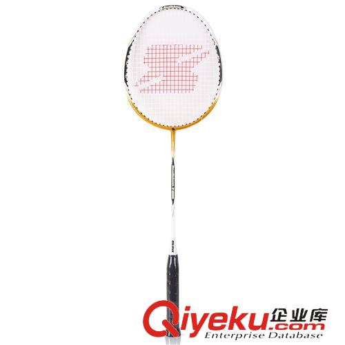 體育用品 得力風行F2105羽毛球拍 玻璃纖維桿鋁框 雙支裝超輕