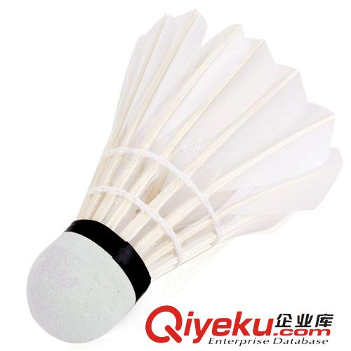 體育用品 zp得力風行F2200高級娛樂羽毛球 3只盒裝專業訓練耐打羽毛球原始圖片2