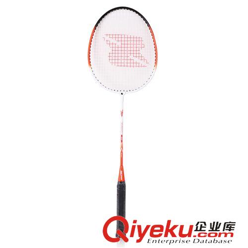 體育用品 zp得力風行F2101雙打羽毛球拍 鐵合金超輕耐打2人家庭訓練羽拍原始圖片3