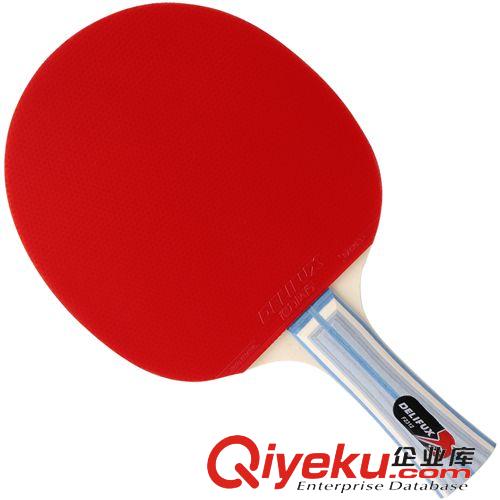 體育用品 正品得力風(fēng)行F2312二星成品乒乓球拍雙面反膠橫拍直拍原始圖片2
