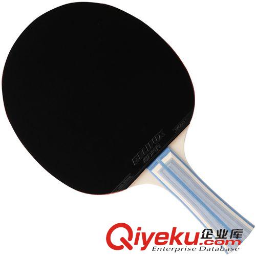 體育用品 正品得力風(fēng)行F2312二星成品乒乓球拍雙面反膠橫拍直拍原始圖片3