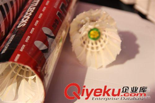 其他健身器材 廠家直銷鵝毛羽毛球 中小學(xué)生娛樂訓(xùn)練用羽毛球 12只 批發(fā)原始圖片2