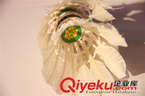 其他健身器材 廠家直銷鵝毛羽毛球 中小學(xué)生娛樂訓(xùn)練用羽毛球 12只 批發(fā)原始圖片3