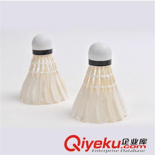 羽毛球拍 羽毛球超耐打鵝毛訓(xùn)練級(jí)羽毛球迷你筒標(biāo)準(zhǔn)球2只裝筒裝一件代發(fā)