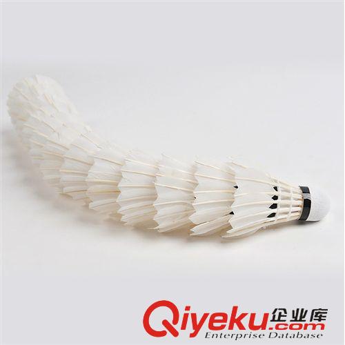 羽毛球拍 廠家直銷代理超耐打鵝毛訓練級羽毛球迷你筒12只裝筒裝一件代發