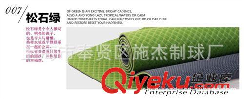 瑜伽墊、地墊 M041TPE雙層瑜伽墊/防滑墊(厚6mm規(guī)格183x61cm)廠家直銷批發(fā)