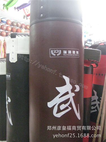 【體育展區】 輪滑 溜冰鞋 自動調號 8閃PU輪套裝輪滑 【布包裝】