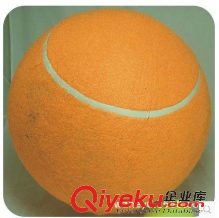 充氣大網(wǎng)球 廠家直銷5.5寸大網(wǎng)球 充氣大網(wǎng)球  大型寵物玩具網(wǎng)球原始圖片2