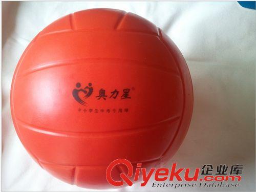 校園體育用品 廠家供應(yīng)軟式排球/學(xué)生達(dá)標(biāo)專用/免充氣球/PU海綿球/學(xué)生體育用品原始圖片3