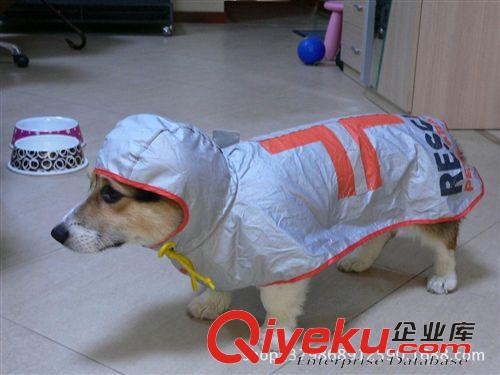 充氣模型 pvc狗雨衣 出國(guó)產(chǎn)品原始圖片3