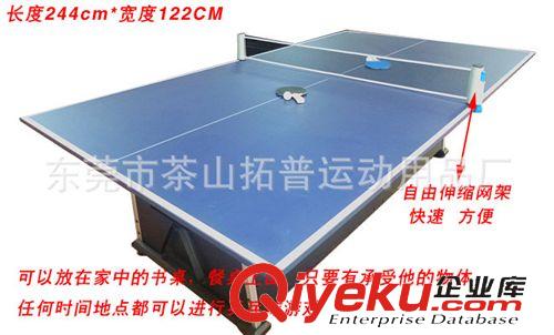 {zx1}設(shè)計產(chǎn)品 新款 簡易乒乓球臺套裝 2片式乒乓球板 含配件伸縮網(wǎng)架 輕便型原始圖片3