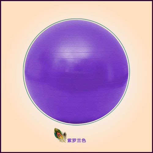 瑜伽用品 65cm加厚防爆鄭多燕平衡瑜伽球 寶寶康復藥球孕婦健身球批發原始圖片3