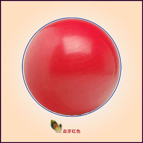 瑜伽用品 廠家zp75cm加厚防爆瑜伽球 充氣環(huán)保pvc健身球ssjf球批發(fā)原始圖片2