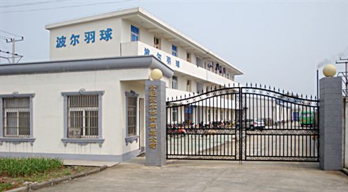 羽毛球 廠家直銷 諾的波爾羽毛球場(chǎng)館1號(hào) 專業(yè)訓(xùn)練1號(hào)業(yè)余{sx}用球原始圖片3