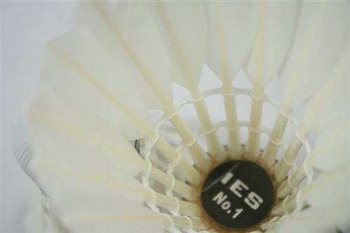 羽毛球 廠銷IES羽毛球 1號(hào) 鴨毛 耐打球 專業(yè)比賽 訓(xùn)練球 12只