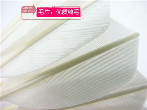 羽毛球 BOER諾的波爾IES高級鴨毛球比賽二號 耐打穩(wěn)定比賽級