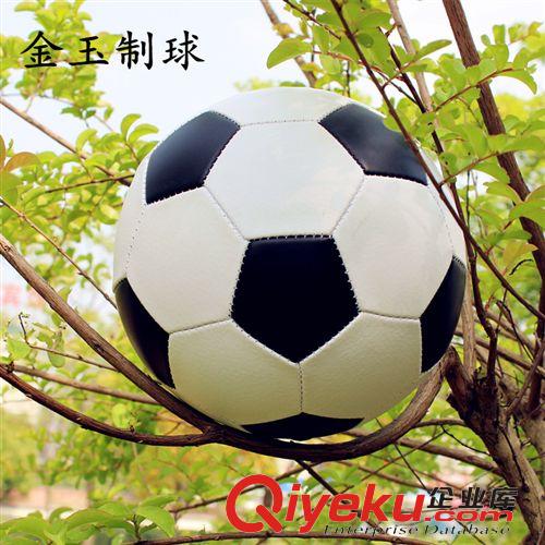 足球 廠家直銷2號(hào)足球 兒童足球 黑白4號(hào)足球現(xiàn)貨新款 5號(hào)足球PVC原始圖片2