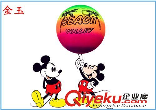 彩排球 沙灘球 廠家直銷 pvc充氣沙灘排球 兒童玩具彩色排球地?cái)偀豳u
