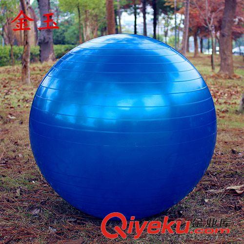 精品推薦 廠家批發(fā) 原裝防爆瑜伽球65cm 充氣加厚瑜伽球原始圖片2