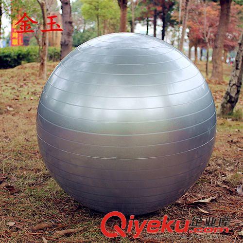 精品推薦 廠家批發(fā) 原裝防爆瑜伽球65cm 充氣加厚瑜伽球原始圖片3