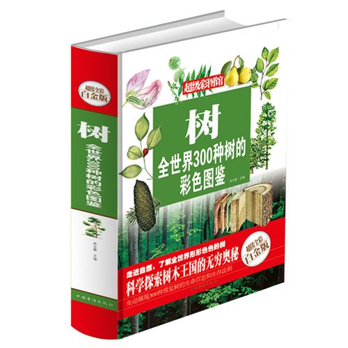 精装书籍 《说文解字详解.彩图》正版tj图书.阅读.大全集精装T