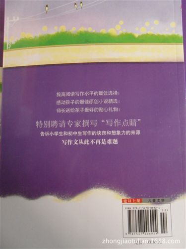 名家繪本類 《飆車?yán)采倌辍穲D書 z